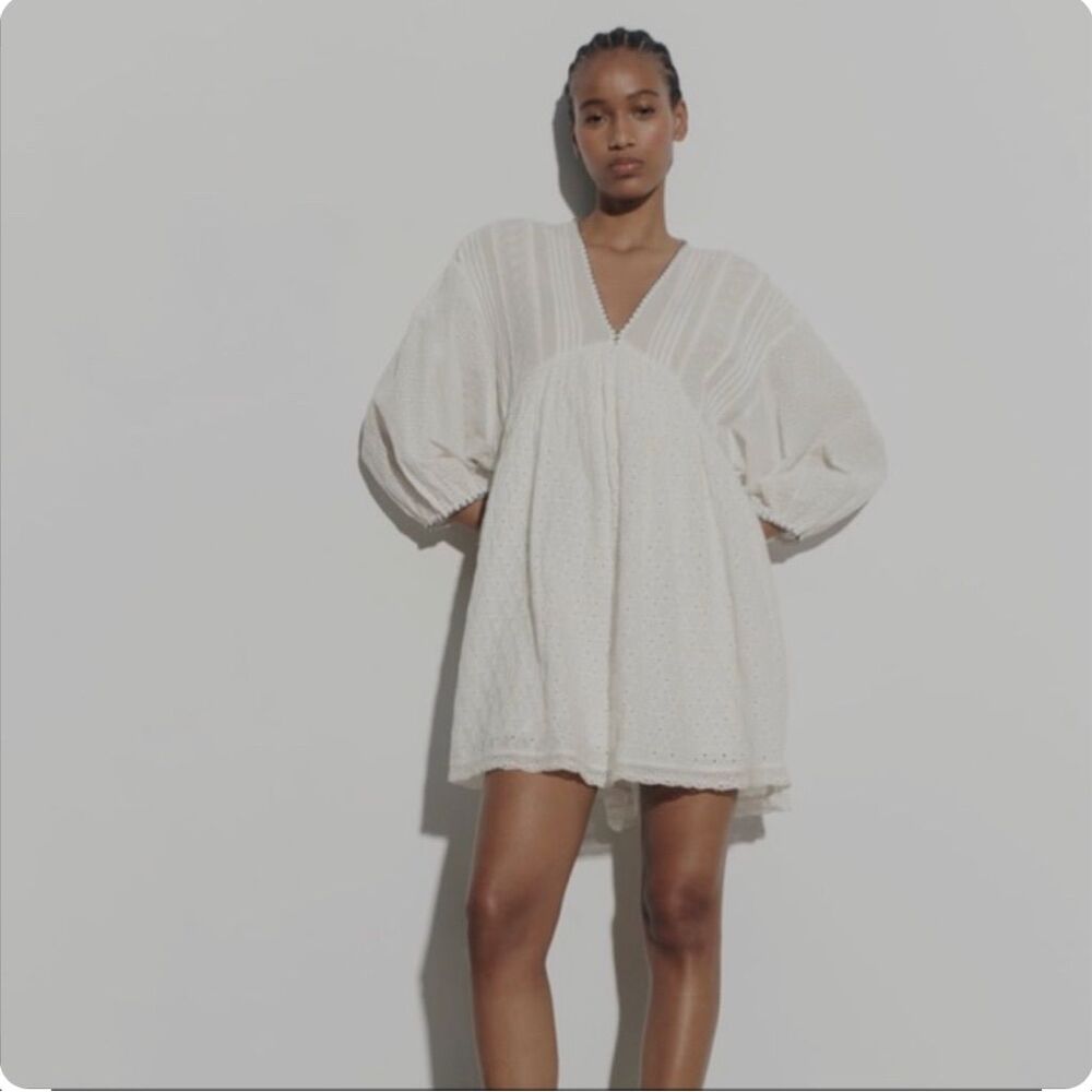 Zara Melissa Dress Size Large